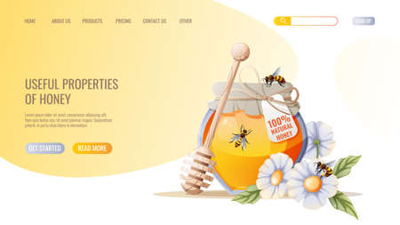 Honey products. Jar of honey, bees. Honey shop webpage design template. Vector illustration for banner, advertisement, web page, cover.のイラスト素材