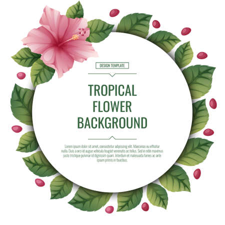 Round tropical background with pink hibiscus flowers. Poster, placard, banner, flyer with tropical plants. summer flower illustrationのイラスト素材