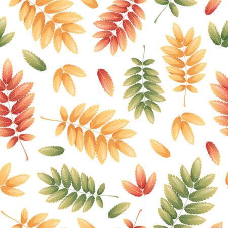 Seamless pattern with autumn leaves on a white background. Great for fabric, wallpaper, wrapping paper, etcのイラスト素材