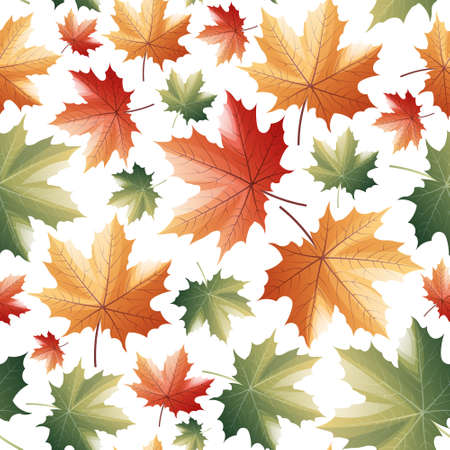 Seamless pattern with autumn maple leaves on a white background. Great for fabric, wallpaper, wrapping paper, etcのイラスト素材
