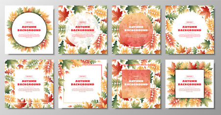 Set of backgrounds with autumn leaves of maple, oak, rowan. autumn vector illustration. Suitable for postcards, banners, postersのイラスト素材