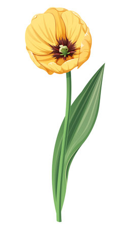 Tulip on an isolated background. Spring yellow flower for Women s Day, Easter. Vector floral illustration.のイラスト素材