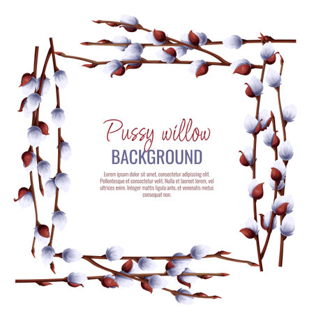Spring background with pussy willow branches. Postcard, banner for Easter. Spring time. Frame for decoration and design of invitations, flyers, etc.のイラスト素材