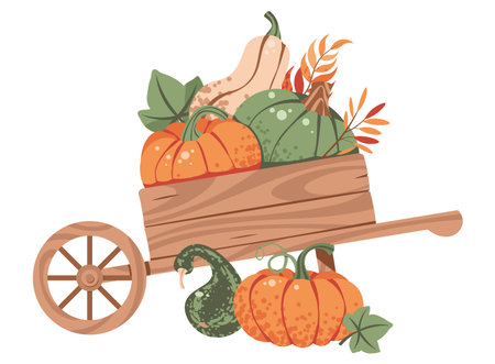 Wooden Wheelbarrow with Pumpkins Flat Vector Illustration Isolated on White. Harvest Festival Design, Autumn Decor, Thanksgiving Graphic, Seasonal Branding, and Farmhouse. Ideal for Print, Digital Useのイラスト素材