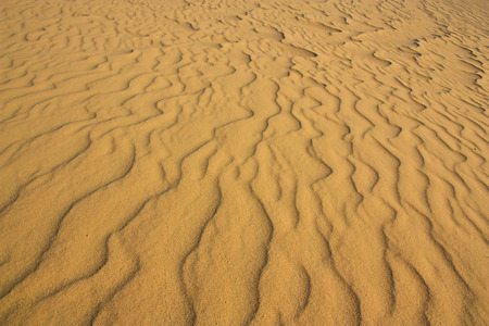 Sand Dunes in Vietnamの写真素材