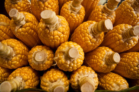 Raw corn in the market 