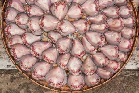 Dried fish in Thailand の写真素材