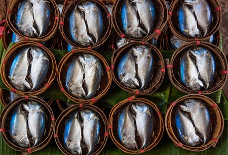 Mackerel fish in bamboo basket at market, Thailand  の写真素材