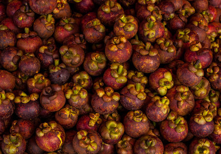 Fresh organic mangosteen Thai fruit in market from thailand.の写真素材