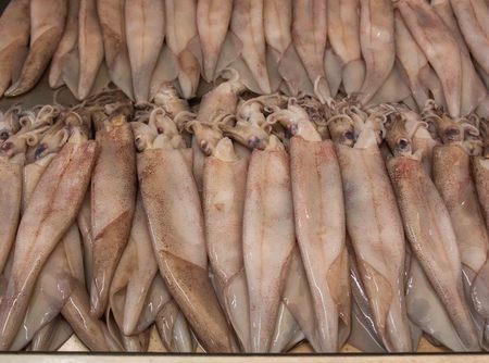 Fresh Squid (Calamari) at seafood market.