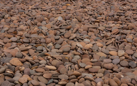 Decorative stones for gardens.の写真素材
