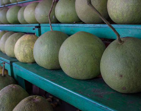 Pomelo fruit on the market.の写真素材