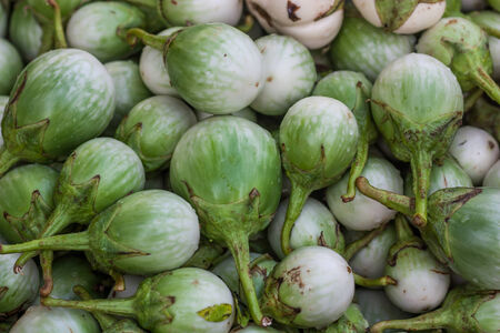 Background of fresh eggplant.の写真素材