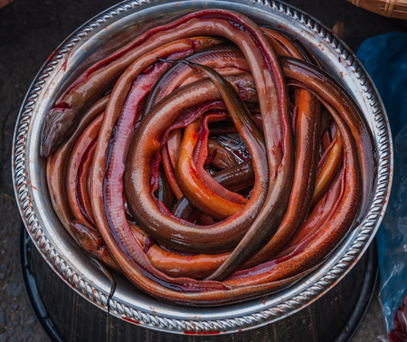 Tub Eel in Thailand road for sale.