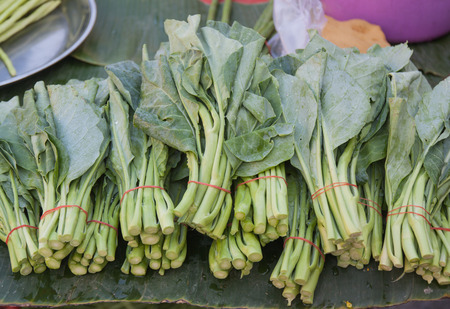 Chinese kale placed on the market, Thailand market.の写真素材