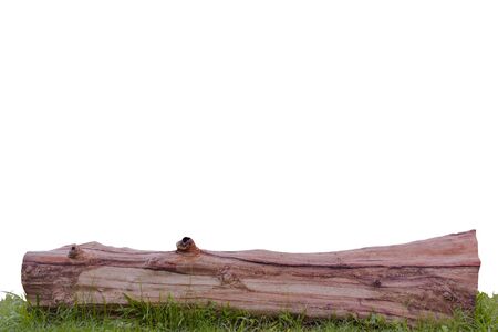 Stumps and grass isolated on white background.の写真素材