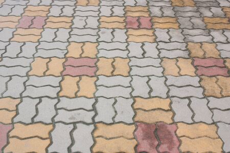 Brick worm or Bricklaying worm on the walkway, Shooting angle in obliquely.の写真素材