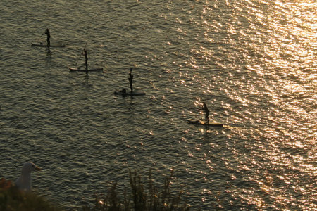 Silhouettes of people on a stand up paddle board at sunsetの写真素材