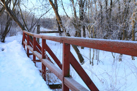 Railing covered with hoarfrost closeup Burgundy early March on a Sunny morning.の写真素材