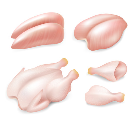Raw fresh chicken parts for cooking set, vector realistic illustrationのイラスト素材