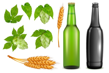 Beer pack icon set. Vector realistic glass beer bottles, wheat ears, hop plant buds and leaves isolated on white background.のイラスト素材