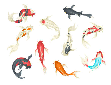 Decorative koi fish japanese carp set, flat vector isolated illustrationのイラスト素材