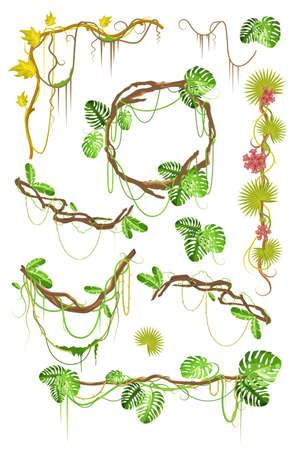 Tropical liana creeper plant decorative elements set, flat vector isolated illustration.のイラスト素材