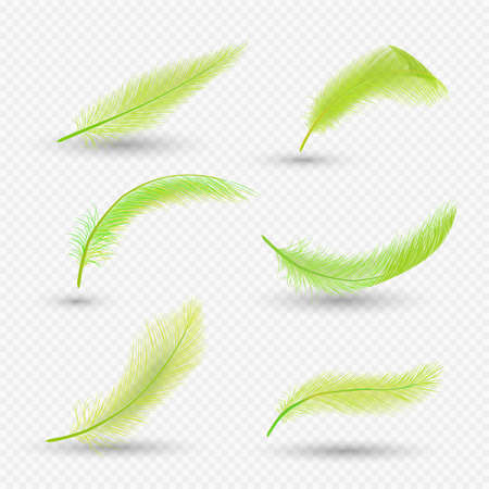 Gold feather set, vector isolated illustration. Realistic fluffy feathers of beautiful birds.のイラスト素材