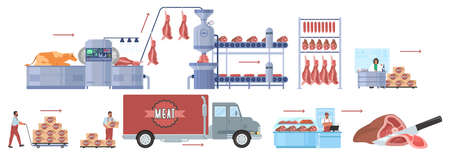 Cattle farming, beef production vector infographic. Meat factory processing line, distribution, sale. Food industry.のイラスト素材