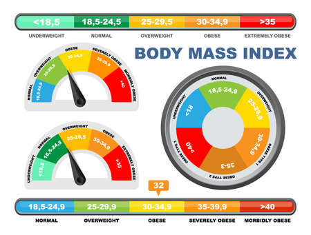 BMI chart, scale, vector illustration. Body mass index meter, weight control measurement tool.のイラスト素材