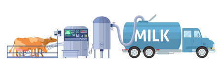 Dairy farm cow milking equipment, tanker truck transporting milk to local factory, vector illustration. Milk production.のイラスト素材
