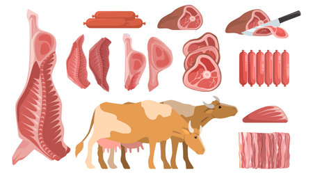 Cartoon fresh raw beef meat vector setのイラスト素材