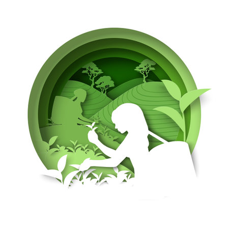 Natural tea production paper cut 3d vectorのイラスト素材