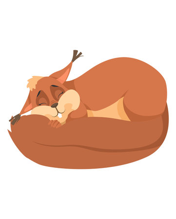 Cute sleeping squirrel cartoon vector on whiteのイラスト素材