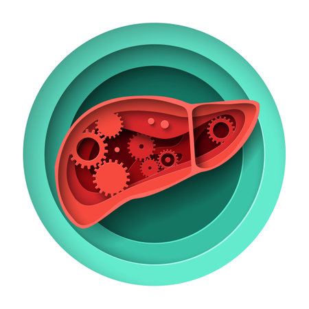 Human liver work process paper cut craft vector illustrationのイラスト素材