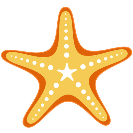 Sea star vector starfish isolated icon on whiteのイラスト素材