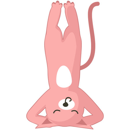 Yoga cat in handstand pose vector animal iconのイラスト素材