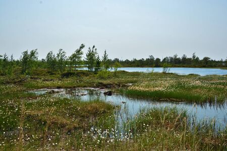 siberian natureの写真素材