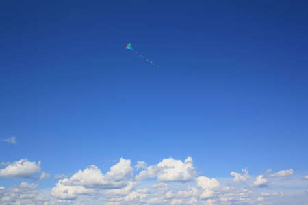Kite flight in the blue sky in the summer sunny dayの写真素材