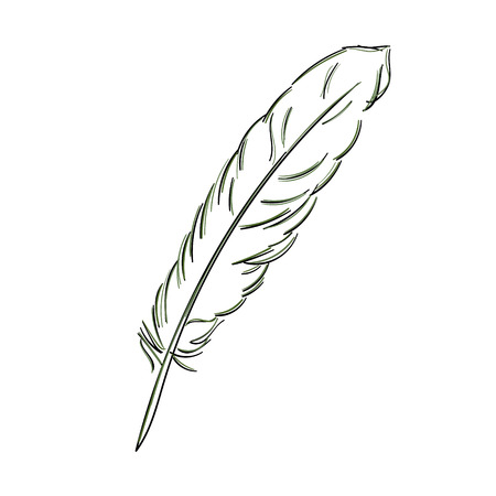 Bird feather sketch isolated on white background.のイラスト素材