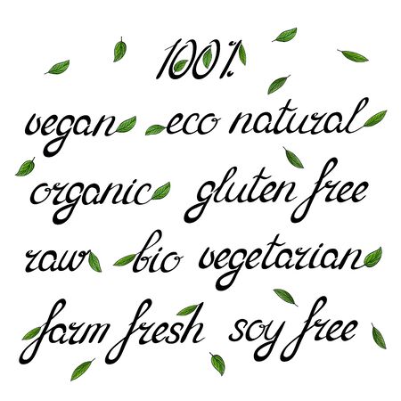 Handwritten words organic eco natural vegan raw bio vegetarian embellished with green leaves.のイラスト素材