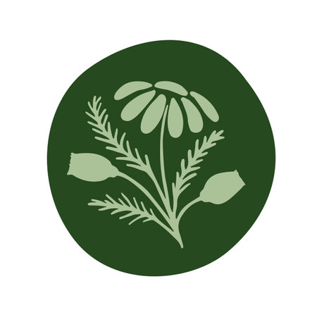 Vector illustration of a hand drawn chamomile in round frame.のイラスト素材