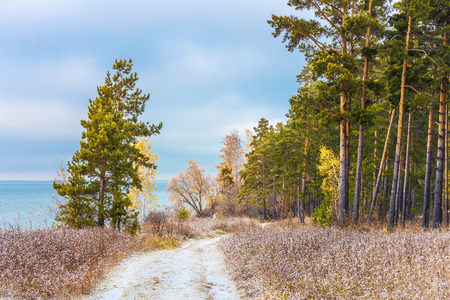 Autumn landscape with first snow. The river Ob, Novosibirsk oblast, Siberia, Russiaの写真素材