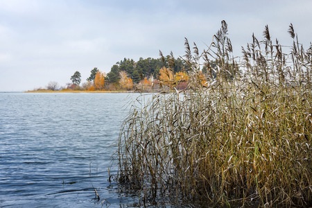 Autumn landscape with first snow. The river Ob, Novosibirsk oblast, Siberia, Russiaの写真素材