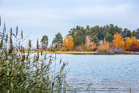 Autumn landscape with first snow. The river Ob, Novosibirsk oblast, Siberia, Russiaの写真素材