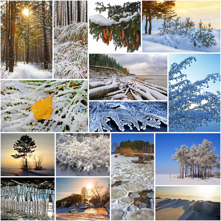 Winter in nature, Siberia, Novosibirsk oblast, Russia. A collage of photosの写真素材
