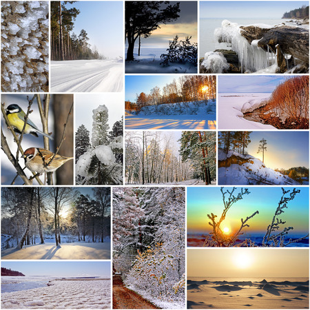 Winter in nature, Siberia, Novosibirsk oblast, Russia. A collage of photosの写真素材