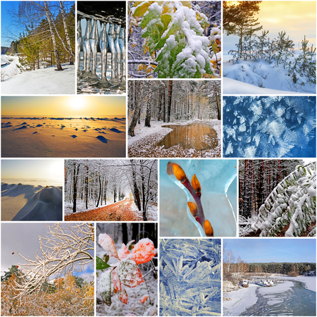 Winter in nature, Siberia, Novosibirsk oblast, Russia. A collage of photosの写真素材