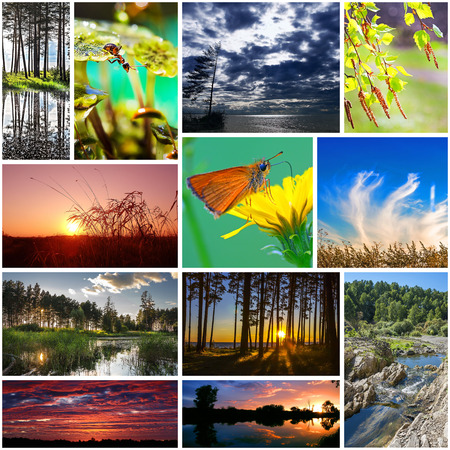 Summer in nature, Siberia, Novosibirsk oblast, Russia. A collage of photosの写真素材