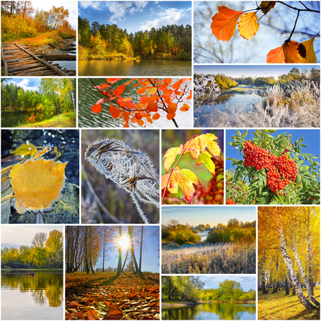 Autumn in nature, Siberia, Novosibirsk oblast, Russia. A collage of photosの写真素材